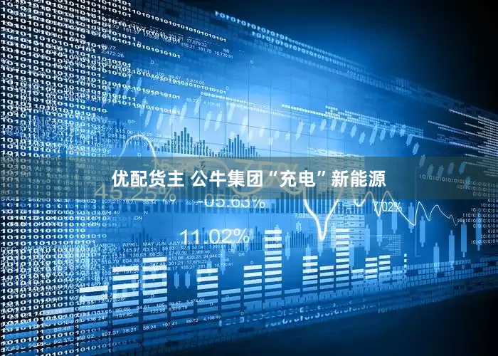 优配货主 公牛集团“充电”新能源