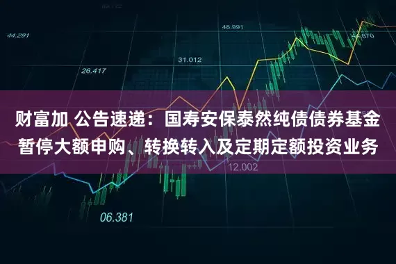 财富加 公告速递：国寿安保泰然纯债债券基金暂停大额申购、转换转入及定期定额投资业务